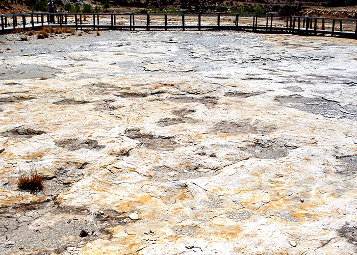 Theo các chuyên gia, các dấu chân khủng long được phát hiện ở công viên bang Clayton Lake được bảo tồn nguyên vẹn. Tất cả có niên đại khoảng 100 triệu năm.