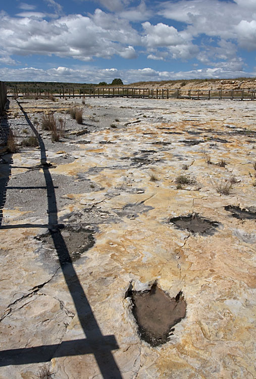 Những dấu chân lớn hơn được tìm thấy tại công viên thuộc về những loài khủng long có độ cao khoảng 9m.
