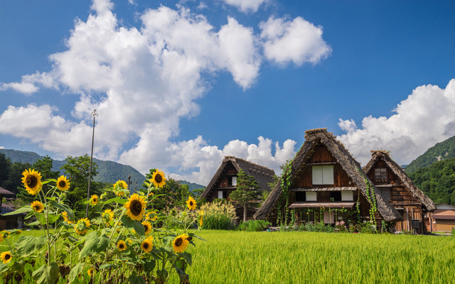 Bên cạnh tìm hiểu kiến trúc độc đáo của các ngôi nhà, du khách có thể đi dạo xung quanh làng, chụp ảnh, ngắm cảnh, tìm hiểu văn hóa địa phương...