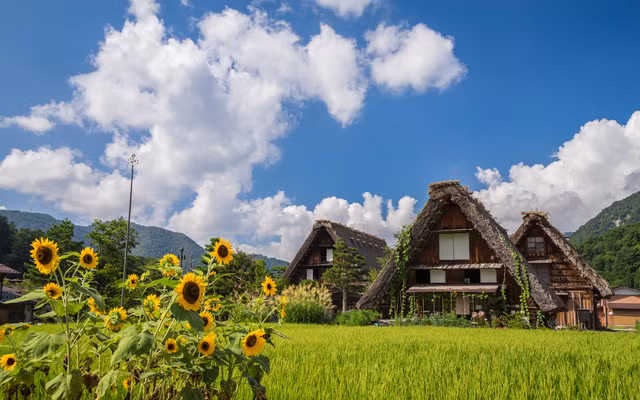 Bên cạnh tìm hiểu kiến trúc độc đáo của các ngôi nhà, du khách có thể đi dạo xung quanh làng, chụp ảnh, ngắm cảnh, tìm hiểu văn hóa địa phương...