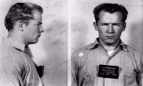 James “Whitey” Bulger đã trở thành trùm tội phạm ở Boston, với những hoạt động làm ăn phi pháp như cho vay nặng lãi, buôn ma túy, tống tiền và rửa tiền.