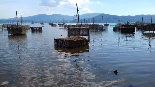 Cách đây ít ngày, trong quá trình nuôi hải sản, khi lặn xuống biển, người dân phát hiện một dòng nước màu đen.