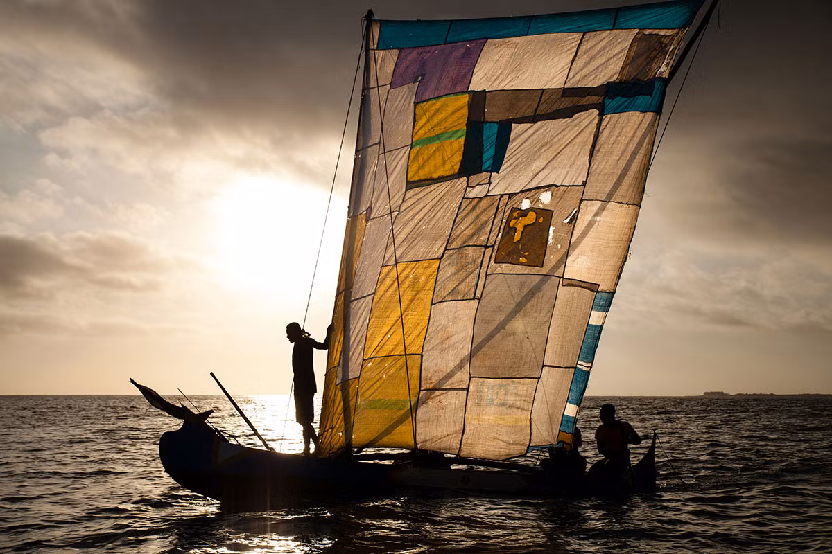 Khi mặt trời mọc, các ngư dân Vezo ra khơi, vượt hàng chục km kiểm tra lưới đánh bắt cá mập và sau đó chèo thuyền trở về vào buổi chiều.