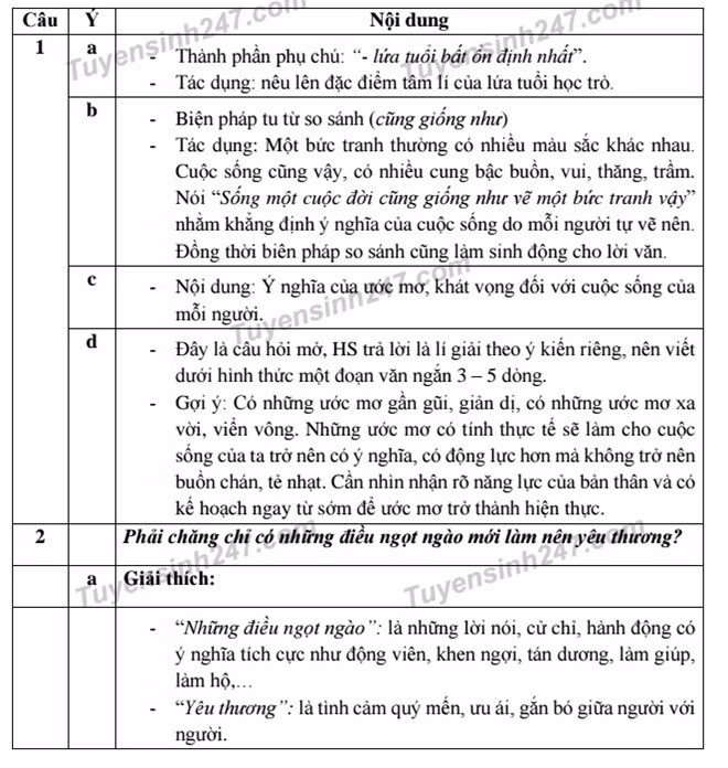 De thi va goi y loi giai mon Ngu van lop 10 tai TP HCM-Hinh-3