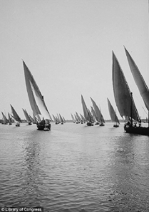 Rất nhiều thuyền buồm trên sông Nile năm 1900.