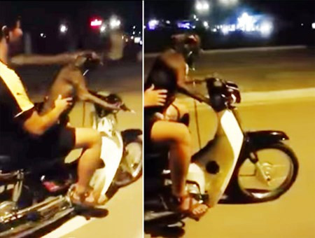 Ke cho cho lai xe may co the bi phat 5-7 trieu dong