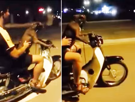 Ke cho cho lai xe may co the bi phat 5-7 trieu dong