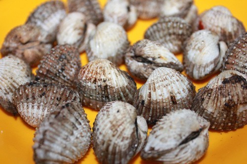 Ốc Như (hẻm 650 Điện Biên Phủ, P. 11, quận 10) là điểm hẹn yêu thích của nhiều tín đồ ốc Sài Gòn. Ốc tươi, chế biến vừa miệng. Điểm trừ là dù đã tăng thêm thời gian phục vụ, song nếu đến sau 17h, sẽ chỉ còn một ít loại ốc do hết hàng.