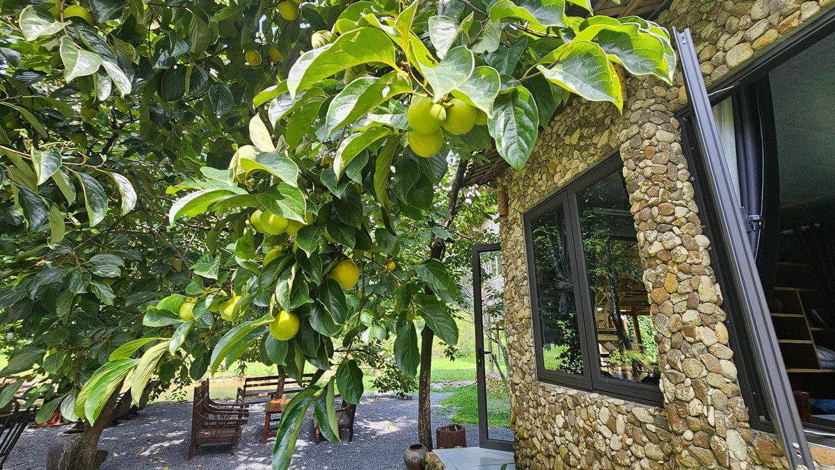 Bỏ việc lương cao, về xây nhà giữa thung lũng xanh mướt - Hình 4 Bo viec luong cao, ve xay nha giua thung lung xanh muot-Hinh-4