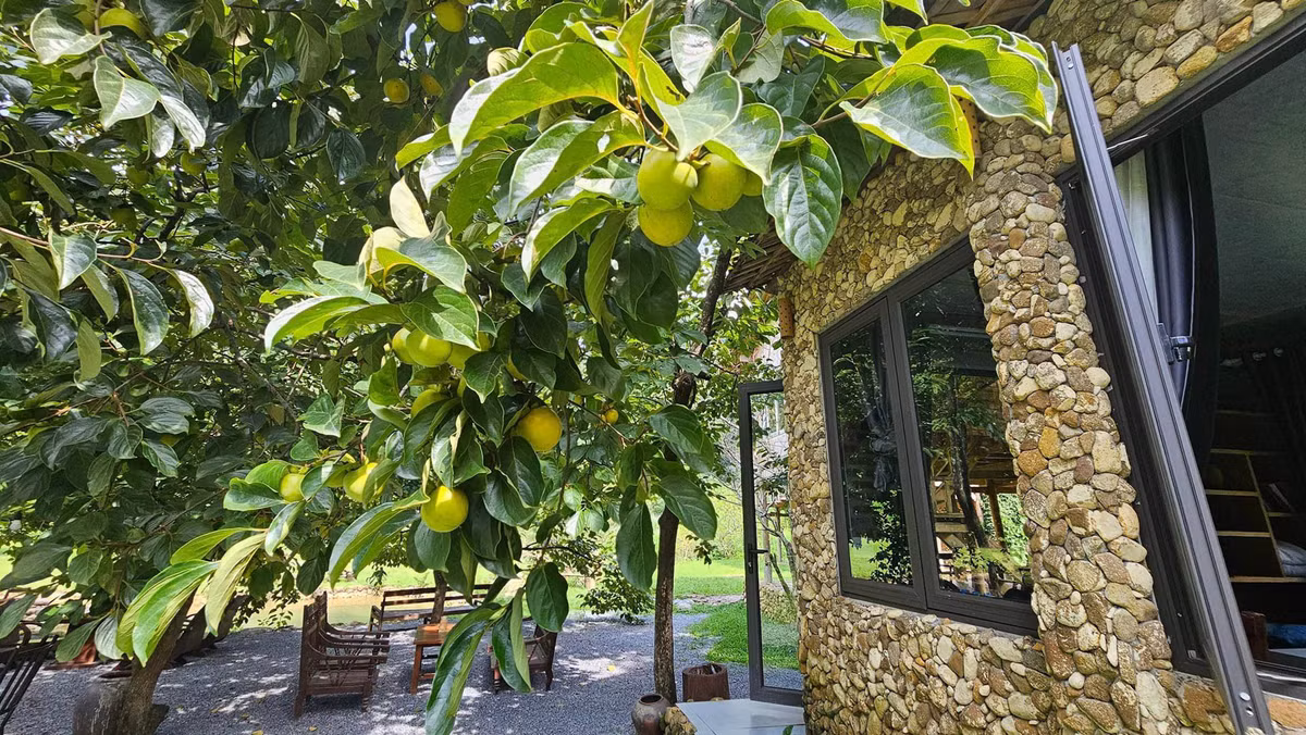 Bo viec luong cao, ve xay nha giua thung lung xanh muot-Hinh-4