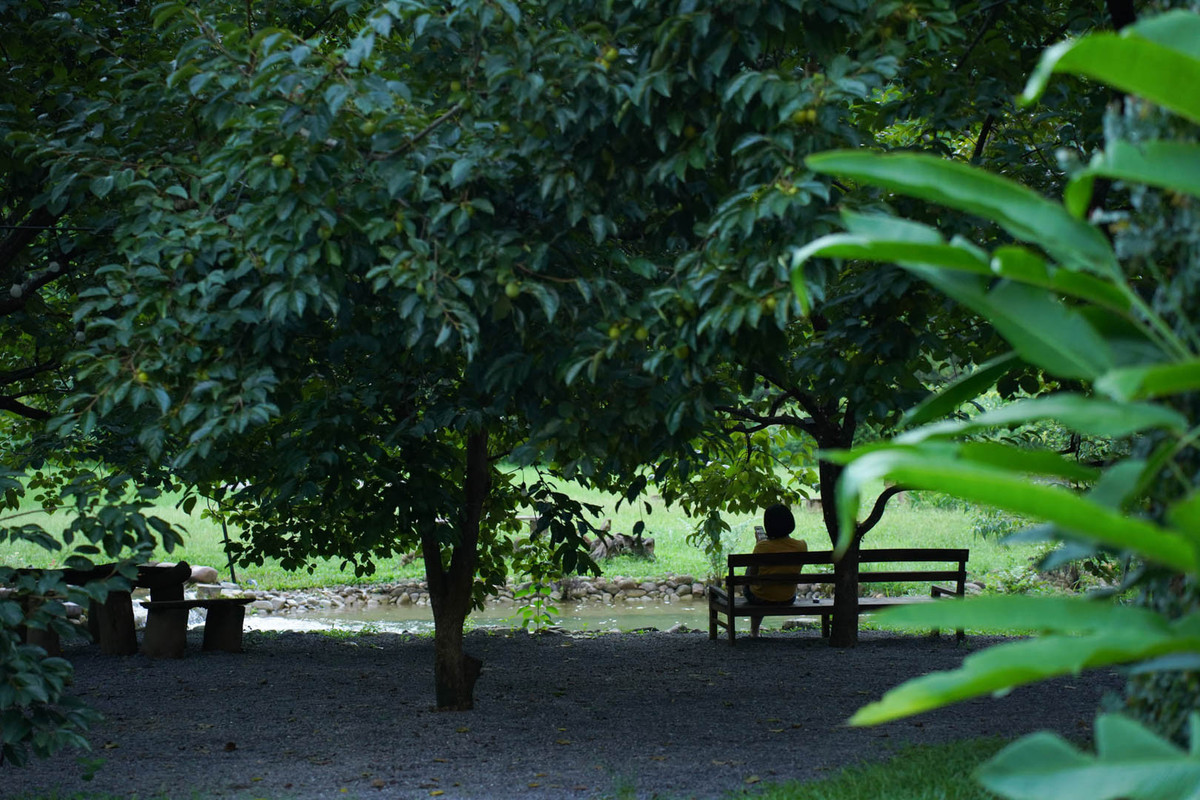 Bỏ việc lương cao, về xây nhà giữa thung lũng xanh mướt - Hình 6 Bo viec luong cao, ve xay nha giua thung lung xanh muot-Hinh-6