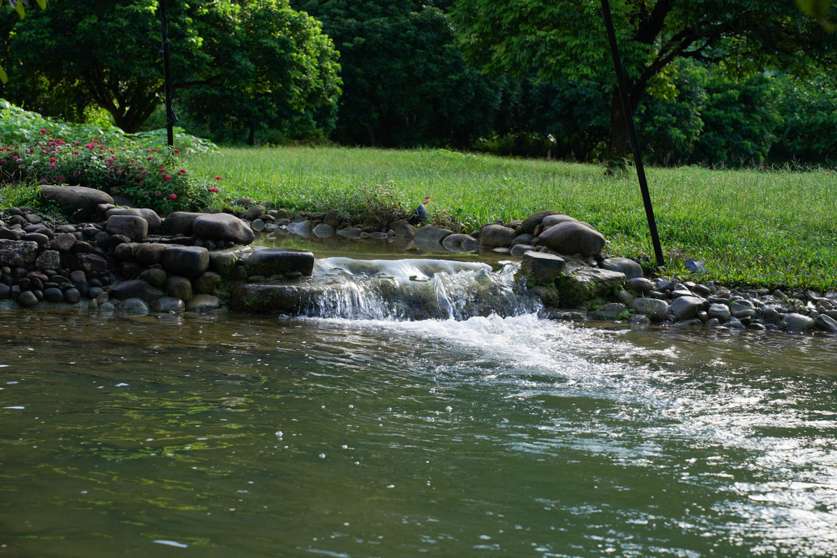 Bỏ việc lương cao, về xây nhà giữa thung lũng xanh mướt - Hình 5 Bo viec luong cao, ve xay nha giua thung lung xanh muot-Hinh-5