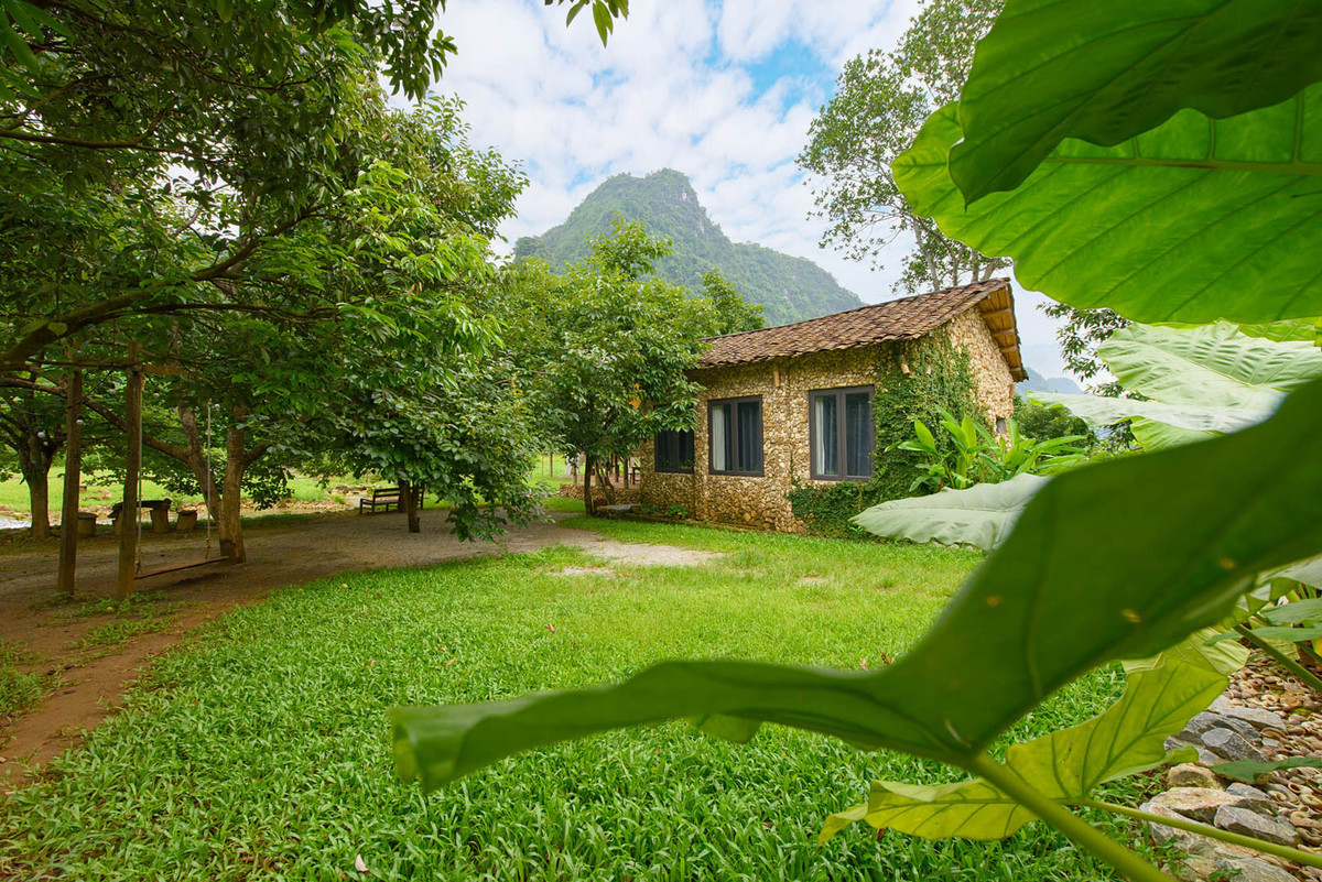 Bỏ việc lương cao, về xây nhà giữa thung lũng xanh mướt - Hình 3 Bo viec luong cao, ve xay nha giua thung lung xanh muot-Hinh-3