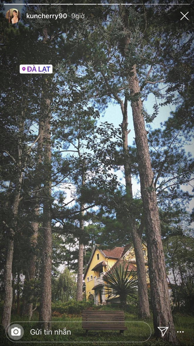 Được biết, màn cầu hôn lãng mạn này chàng CEO điển trai thực hiện khi cả hai đang ở Đà Lạt.