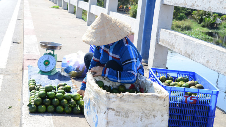 Bất chấp cái nóng oi bức, người phụ nữ này vẫn mang hoa ra cây cầu trên địa bàn quận Bình Tân ngồi bán. 