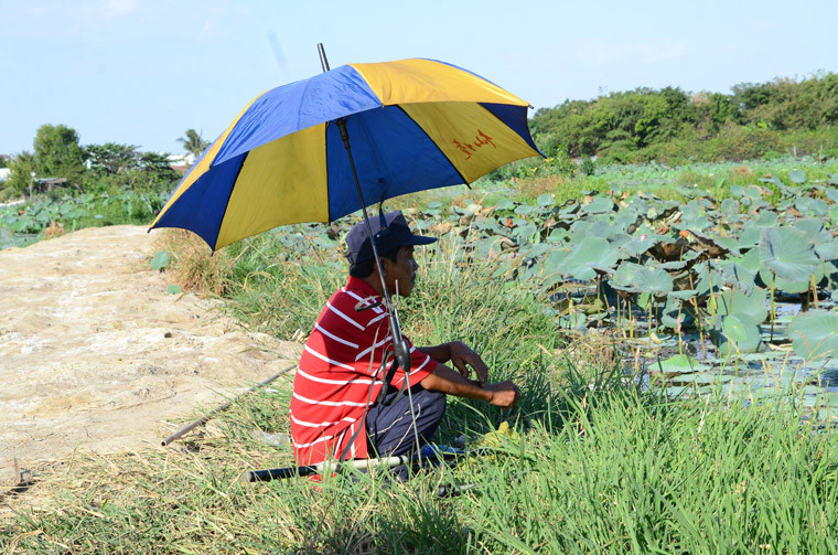 Thế nhưng vẫn có người bất chấp nắng nóng, tìm trò giải trí câu cá ven kênh trên quốc lộ nhưng phải dùng ô che nắng.