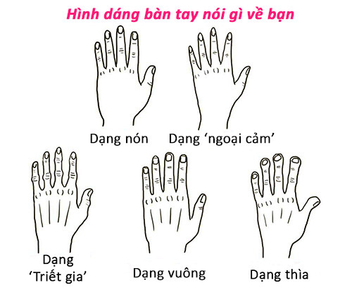 Hinh dang ban tay noi gi ve ban?