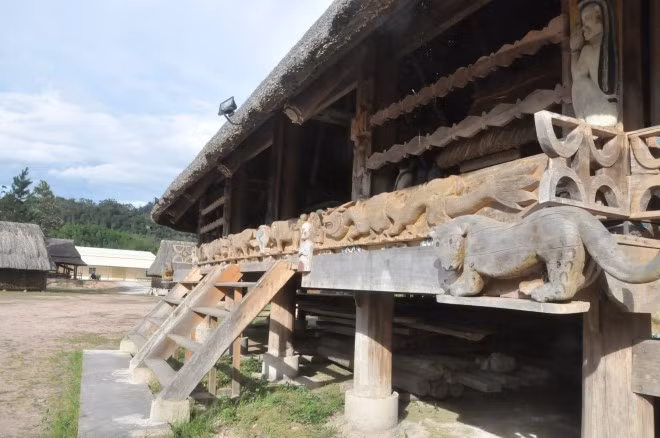 Ngam rung pomu doc nhat vo nhi con sot lai o VN