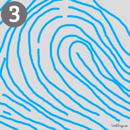 3. Hình thác nước chảy nghiêng về ngón áp út: Những người có vân tay giống hình thác nước chảy về phía ngón tay út với một tam giác điểm thường là những người có tính cách nhẹ nhàng, thích quan sát, thụ động và giàu tình cảm.