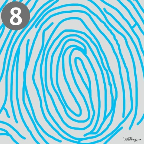 8. Vòng tròn hai tâm: Những người vân tay có hai tâm ở giữa, bao quanh bởi nhiều lớp của vòng tròn có khả năng làm tốt nhiều việc cùng lúc. Họ là những người có cá tính nổi bật và nhiều sở thích và suy nghĩ sâu sắc.