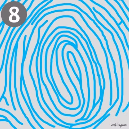 8. Vòng tròn hai tâm: Những người vân tay có hai tâm ở giữa, bao quanh bởi nhiều lớp của vòng tròn có khả năng làm tốt nhiều việc cùng lúc. Họ là những người có cá tính nổi bật và nhiều sở thích và suy nghĩ sâu sắc.