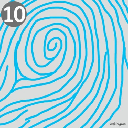 10. Vòng xoắn giống lông chim công: Những người có vân tay ở trung tâm gồm nhiều vòng tròn hoặc xoắn ốc, kết thúc của mỗi vòng được kết nối bởi một đường thẳng, giống như chiếc lông đuôi của con công thường là những người rất sâu sắc, có tố chất lãnh đạo, có tính nghệ thuật, ấm áp và chu đáo.