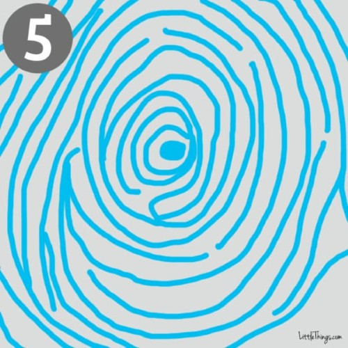 5. Vòng tròn đồng tâm: Những người có vân tay ở trung tâm là vòng tròn nhỏ rồi lan ra những vòng tròn đồng tâm, với hai tam giác điểm thường là những người có tính cách mạnh mẽ và quyết đoán. Họ thích làm trung tâm, thích cạnh tranh, luôn đặt ra mục tiêu và không muốn bị kiểm soát hay chi phối.