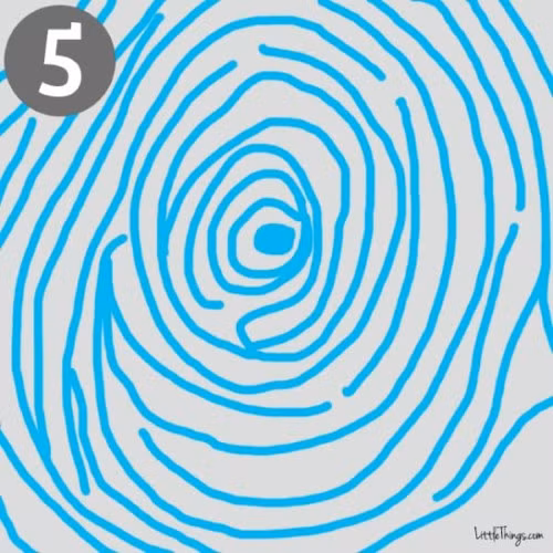 5. Vòng tròn đồng tâm: Những người có vân tay ở trung tâm là vòng tròn nhỏ rồi lan ra những vòng tròn đồng tâm, với hai tam giác điểm thường là những người có tính cách mạnh mẽ và quyết đoán. Họ thích làm trung tâm, thích cạnh tranh, luôn đặt ra mục tiêu và không muốn bị kiểm soát hay chi phối.