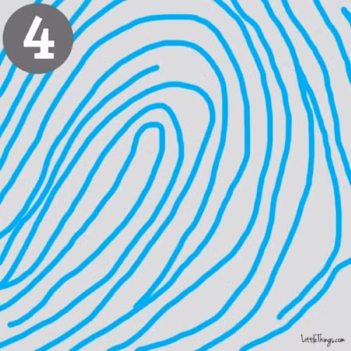 4. Hình thác nước chảy nghiêng về ngón cái: Những người có vân tay giống hình thác nước chảy về phía ngón tay cái với một tam giác điểm là những người suy nghĩ độc lập và khéo léo, thích đi ngược lại đa số. Đôi khi họ cũng rất táo bạo, nổi loạn nhưng lại dễ mềm lòng. Họ có tố chất lãnh đạo và có óc phán đoán tốt.