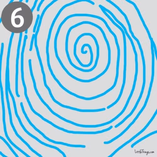 6. Hình xoắn ốc: Những người có vân hình xoắn ốc bắt đầu từ trung tâm và di chuyển ra phía ngoài, có hai tam giác điểm là những người có tính cách phóng khoáng, thích tự do, thường hành động theo trái tim mách bảo. Họ rất mơ mộng, nhạy cảm và giàu cảm xúc, biết quan tâm đến người khác và yêu thích động vật.