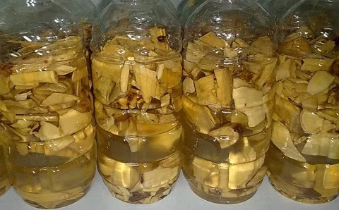 Hai người đàn ông đều có triệu chứng chóng mặt, buồn nôn và lên cơn co giật sau khi uống rượu ngâm thảo dược là rễ cây rừng. Sau khi nhập viện 1 trong 2 người đã tử vong vì ngộ độc quá nặng. Ảnh: Dân việt.