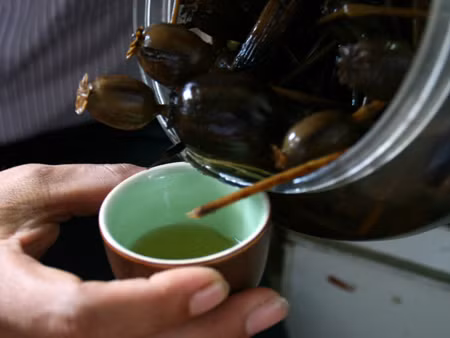 Rượu ngâm hoa anh túc: Nhiều người cho rằng uống rượu ngâm hoa anh túc rất tốt cho sức khỏe, nhưng thực tế loại rượu này có khả năng gây ngộ độc rất cao. Ảnh: Dân việt.