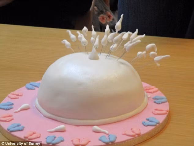 Còn đây là chiếc bánh kem mô phỏng quá trình trứng và tinh trùng gặp nhau. Ảnh: University of Surrey.