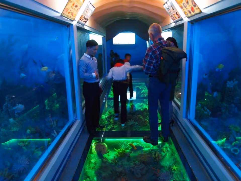 Sở thú Bình Nhưỡng còn có thủy cung