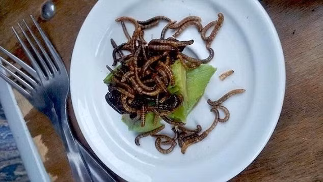 Châu chấu và sâu gạo ở Le Festin Nu (Paris, Pháp): Hai món ăn lạ lùng từ loại côn trùng này được người dân châu Phi và châu Á dùng làm thức ăn từ lâu, nhờ giá trị dinh dưỡng cao, giàu protein và ít chất béo. Chúng có lớp vỏ giòn và vị ngậy như lạc.