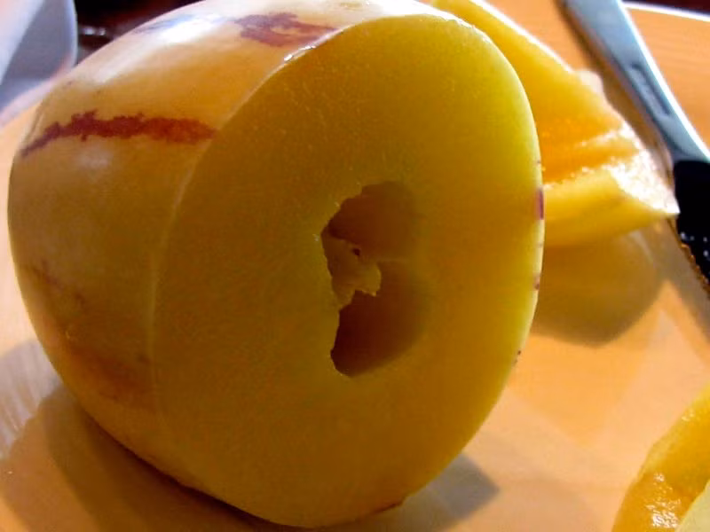 Dưa Penino: Đây là một giống dưa có cây thân đứng, sai quả, dễ trồng. Đây là giống dưa "sang chảnh" vì nhanh hỏng, khó bảo quản, giá thành nhập khẩu cao nên gần đây giống dưa này được nhiều bà nội trợ săn lùng tự trồng tại nhà. Ảnh: Giongcaytrong.