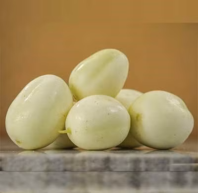 Đầu tiên phải kể đến dưa chuột trứng rồng. Giống dưa này có màu trắng, vị ngọt đậm, hình dáng bên ngoài giống hệt những quả trứng. Ảnh: Feedy