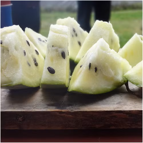 Dưa hấu ruột trắng cũng là loại dưa ngon mới hot gần đây. Theo đánh giá của nhiều người, giống dưa này không ngọt đậm nhưng vị ngọt của nó rất lạ gần giống vị chanh leo. Ảnh: Giadinh