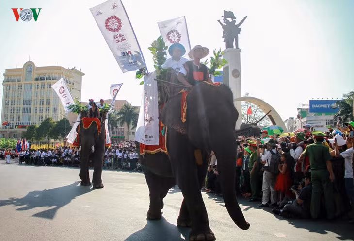 Các chú voi Đắk Lắk đã tạo nên điểm nhấn hấp dẫn của Lễ hội Cà phê Buôn Ma Thuột lần thứ 6.
