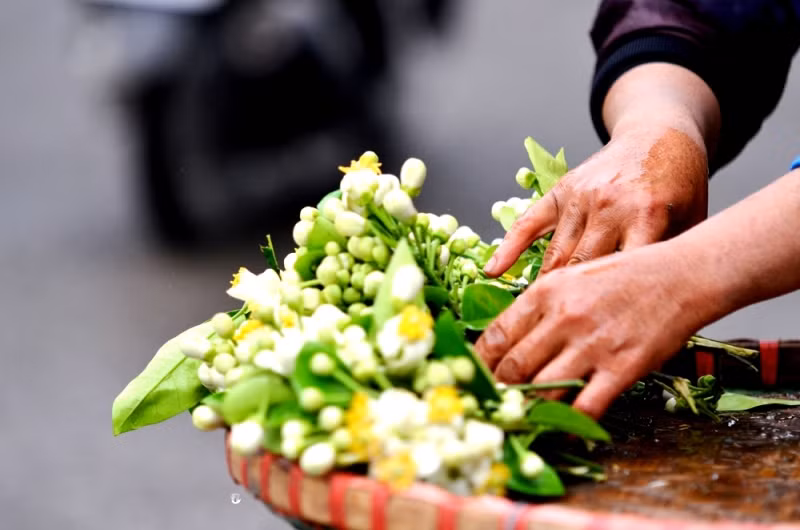 Tiêu đờm hộ trợ tiêu hóa bằng cách nấu nước hoa bưởi, hoa đậu, nước gừng và đường phèn để uống hàng ngày.