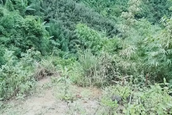 3 nguoi lap ke hoach dat min hang xom vi nghi bi “tha ma”