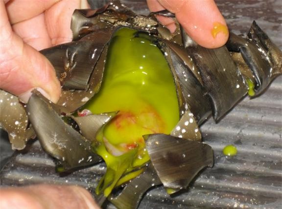 Che doi qua la hinh “mui khoan” phat hien di vat ben trong