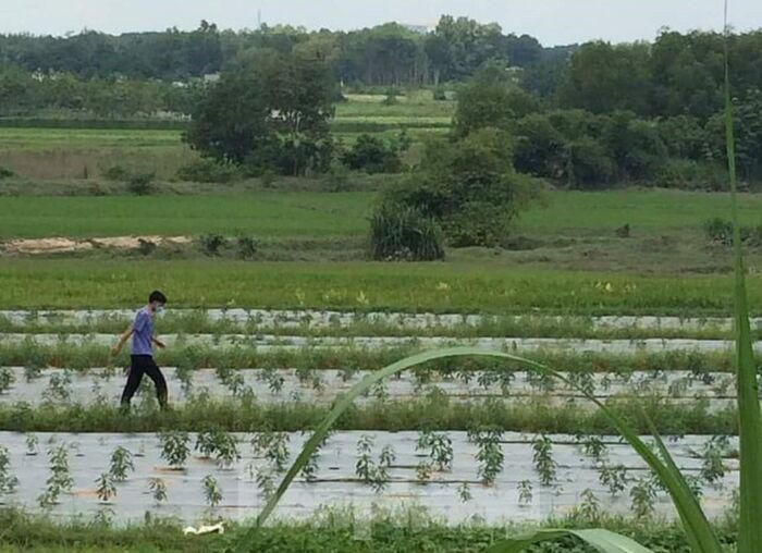  Bé trai 7 tuổi tử vong dưới suối sau 2 ngày mất tích: Sáng 17/9, người dân đi câu cá ở con Suối Cái, thuộc thị xã Tân Uyên, Bình Dương phát hiện thi thể em P.H.Đ (SN 2014, trú phường Phú Chánh, thị xã Tân Uyên). Được biết, trước đó 2 ngày, gia đình em Đ. đã trình báo cơ quan chức năng về em Đ. mất tích bí ẩn.