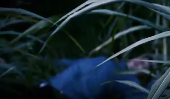 Khi lực lượng điều tra xuống hiện trường, khung cảnh thương tâm nhất là hình ảnh nạn nhân nằm khuất giữa ruộng cỏ voi, những cây cỏ voi cao quá đầu người che khuất tầm mắt nên người dân dù có vô tình đi ngang qua cũng rất khó để phát hiện ra thi thể, trên người nạn nhân không có bất kì một giấy tờ tùy thân nào. (Ảnh: ANTV)