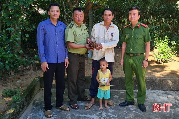 Rùa sa nhân có tên gọi khoa học là Cuora Mouhotii. Đây là một loài rùa trên cạn vô cùng quý hiếm, thuộc họ rùa đầm Emydidae và bộ rùa Testudinata. Ảnh: Baohatinh.