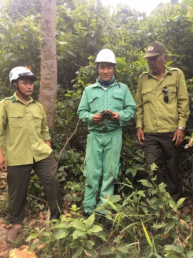 Thức ăn chủ yếu của rùa sa nhân là cây khô, động vật nhỏ như giun, ốc... Ảnh: Dân Việt.