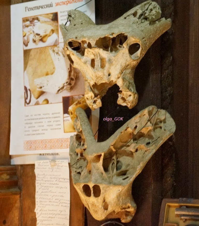 Tất cả những điều này đều là giả thuyết. Do vậy, giới nghiên cứu vẫn cố gắng đi tìm lời giải về nguồn gốc của 2 hộp sọ kỳ dị trên.