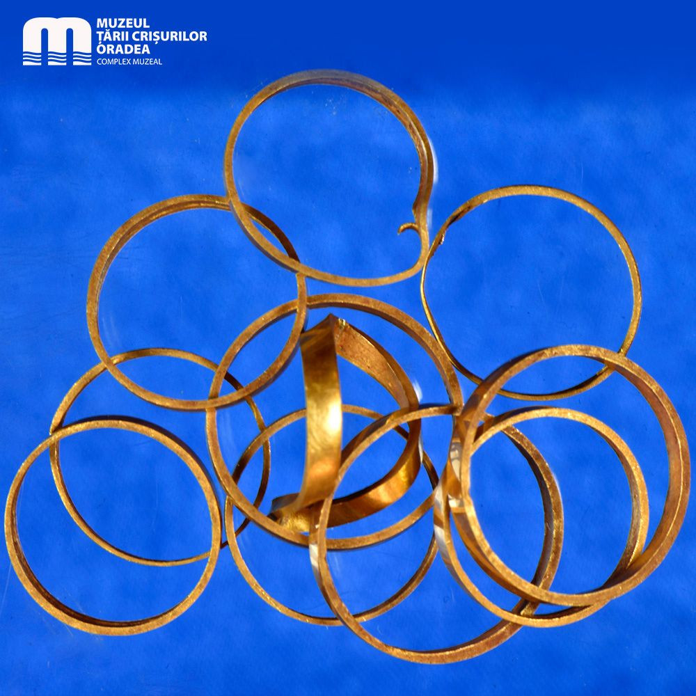 Các chuyên gia vô cùng bất ngờ khi tiến vào bên trong mộ. Đó là việc họ tìm thấy 169 chiếc nhẫn vàng được chôn cất cùng với người phụ nữ. Theo nhóm nghiên cứu, đây là lần đầu tiên khai quật được nhiều vàng như vậy trong một ngôi mộ có niên đại vào thời đồ Đồng đá ở Romania nói riêng và châu Âu nói chung.