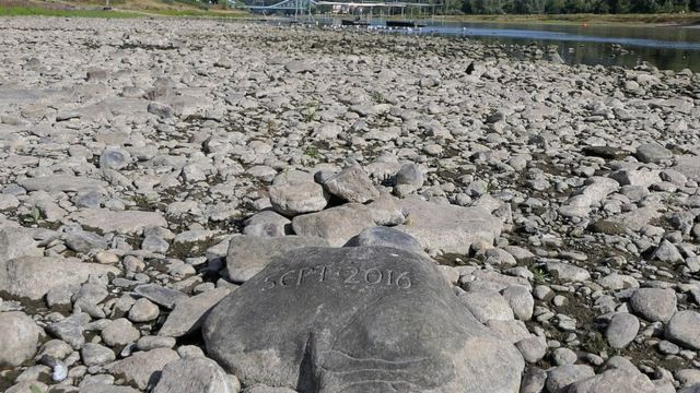 Các chuyên gia cho hay tình trạng hạn hán đang xảy ra ở châu Âu sẽ ảnh hưởng lớn đến giao thông đường thủy.