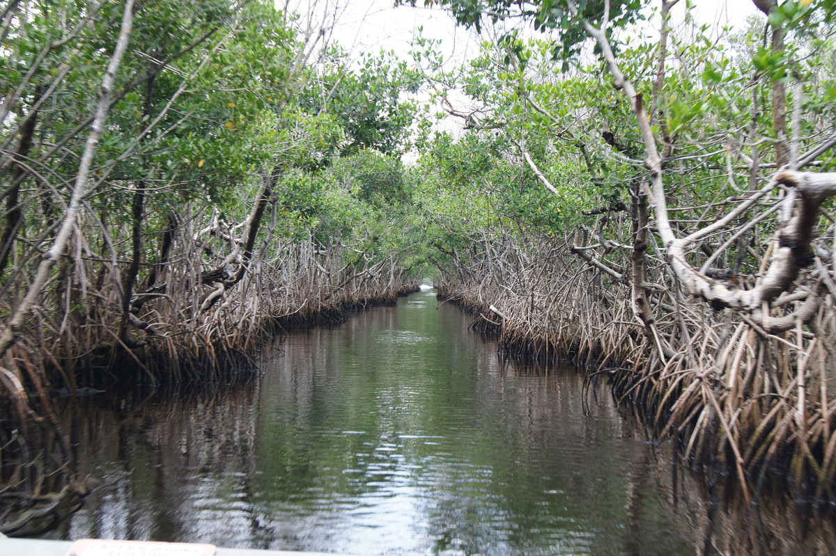 Do vậy, nữ vương này buồng lời nguyền chết chóc rằng: khi chết, bà sẽ cuốn theo tất cả mọi người sống gần đầm lầy Manchac tới địa ngục.